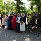 zdjęcie nr 14