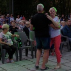 zdjęcie nr 12