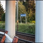 zdjęcie nr 12