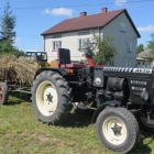 Fotka nr 4 z 61