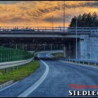 zdjęcie nr 10