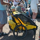 zdjęcie nr 16