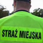 zdjęcie nr 102