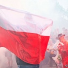 zdjęcie nr 43