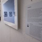zdjęcie nr 18
