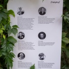 zdjęcie nr 22