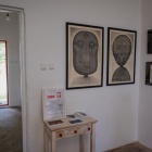 zdjęcie nr 8