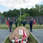 zdjęcie nr 115