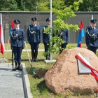 zdjęcie nr 42