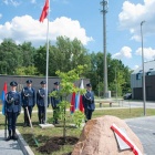 zdjęcie nr 87