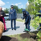 zdjęcie nr 91