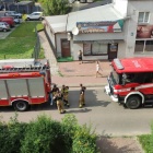 Fotka nr 5 z 6