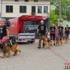 zdjęcie nr 24