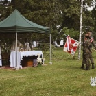 Fotka nr 4 z 14
