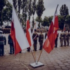 Fotka nr 5 z 14