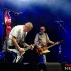 zdjęcie nr 95