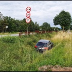 zdjęcie nr 10