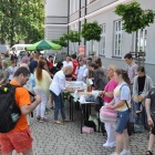 zdjęcie nr 28