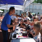 zdjęcie nr 8
