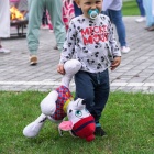 zdjęcie nr 189