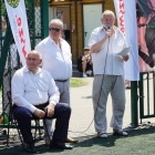 zdjęcie nr 35