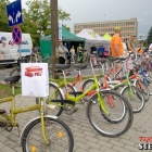 zdjęcie nr 24