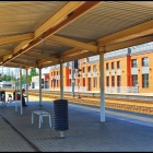 zdjęcie nr 7