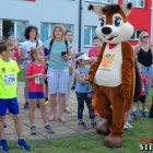 zdjęcie nr 32