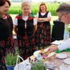 zdjęcie nr 36