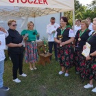 zdjęcie nr 51