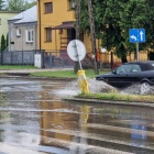 Fotka nr 5 z 13