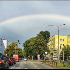 zdjęcie nr 10