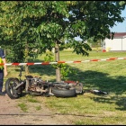 zdjęcie nr 11