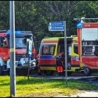 zdjęcie nr 21