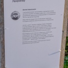 zdjęcie nr 27