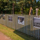 zdjęcie nr 30