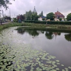 zdjęcie nr 7