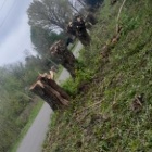 zdjęcie nr 7