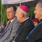 zdjęcie nr 14