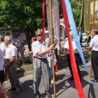 zdjęcie nr 205