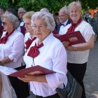 zdjęcie nr 213