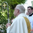 zdjęcie nr 46