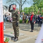 zdjęcie nr 137