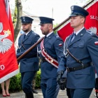 zdjęcie nr 167