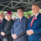 zdjęcie nr 224