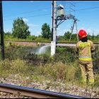 zdjęcie nr 15