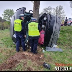 zdjęcie nr 9