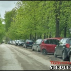 zdjęcie nr 16