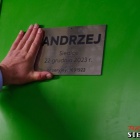 zdjęcie nr 110
