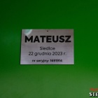 zdjęcie nr 65